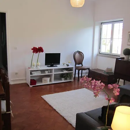 Apartment Alvalade